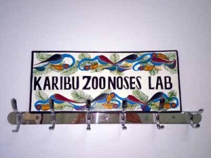 Karibu Zoonoses Lab